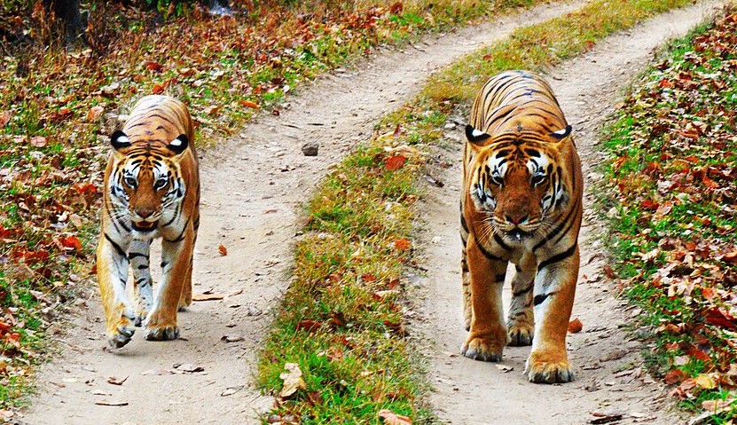 Best Places to Visit in Mandla