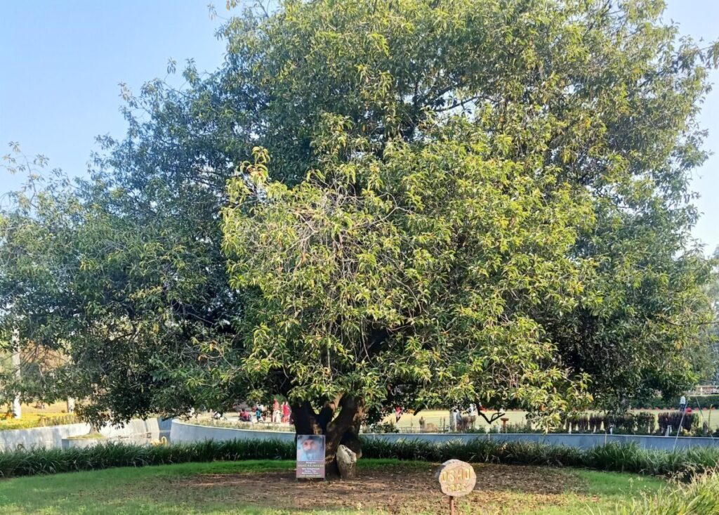 Bhawartal Garden Jabalpur