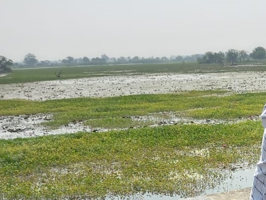 Gulawat Lotus Valley Indore