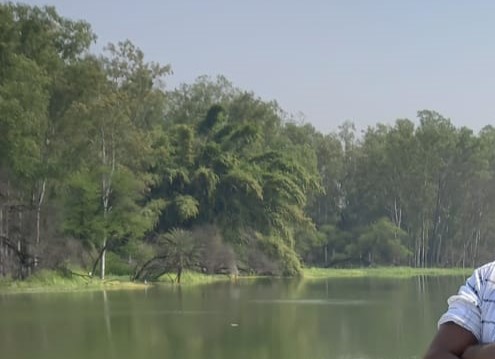 Gulawat Lotus Valley Indore