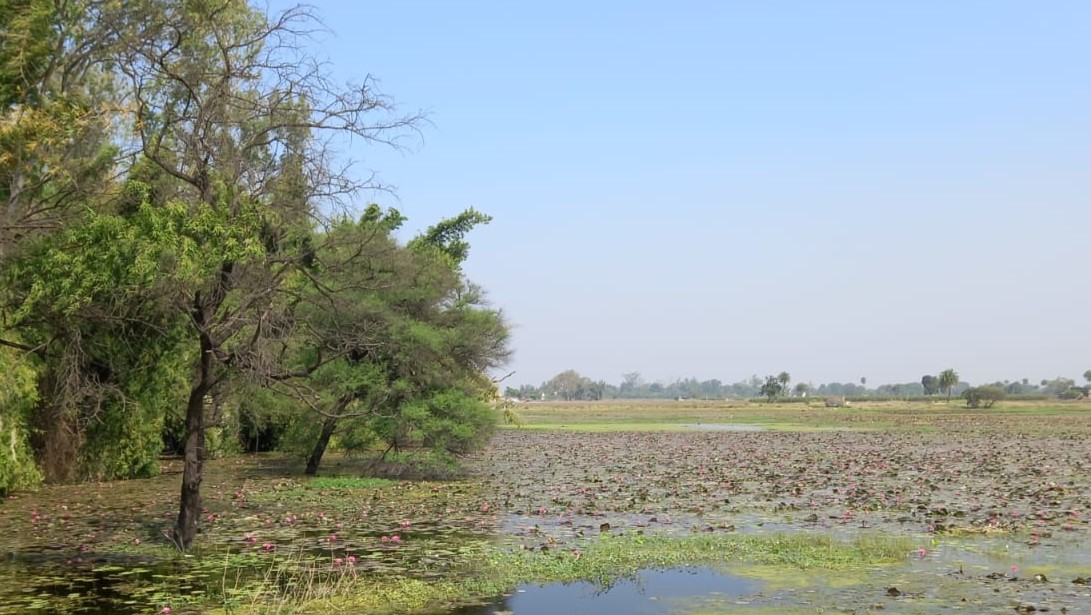 Gulawat Lotus Valley Indore