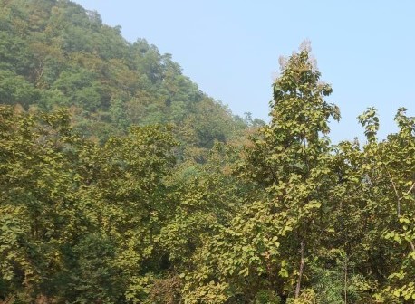 Best Places to Visit in Shahdol