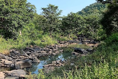 Best Places to Visit in Katni