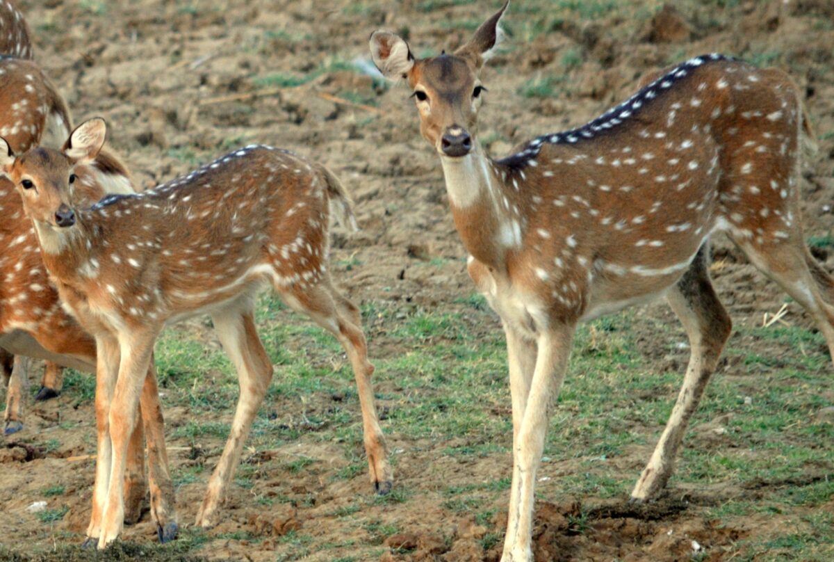 Best Places to Visit in Hoshangabad