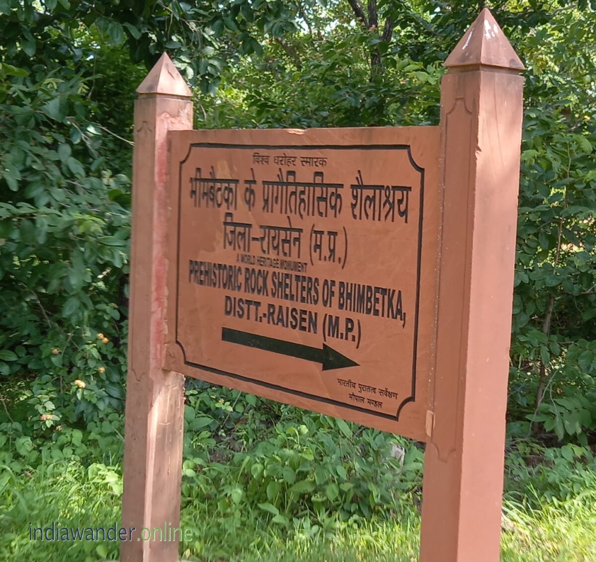 Bhimbetka Rock Shelters