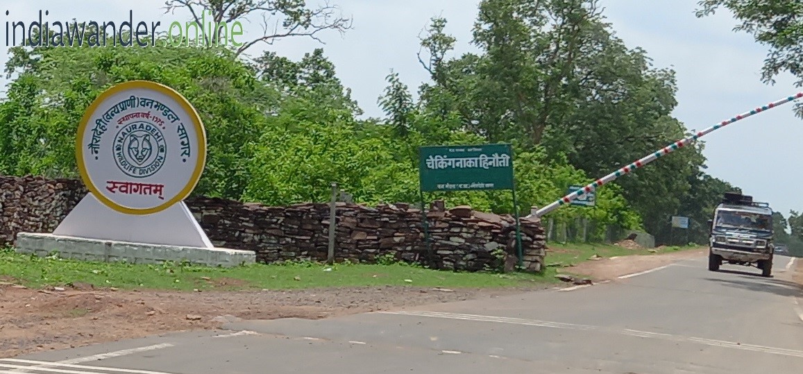 Nauradehi Wildlife Sanctuary