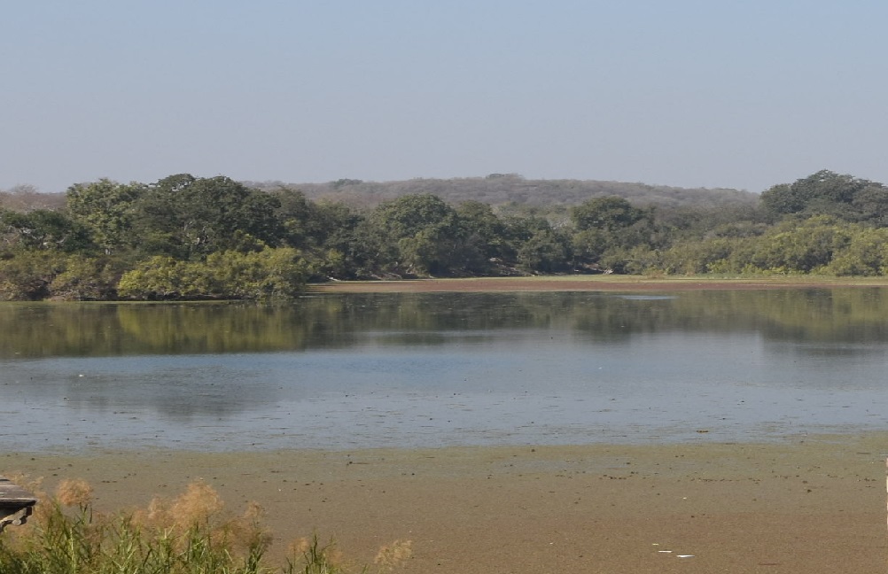 Top Places to Visit in Shivpuri District