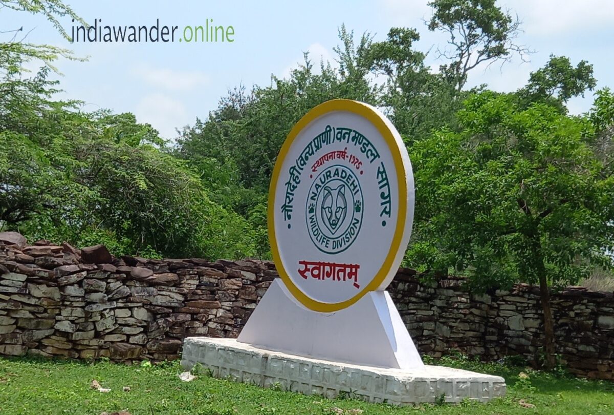 Top Places to Visit in Sagar District