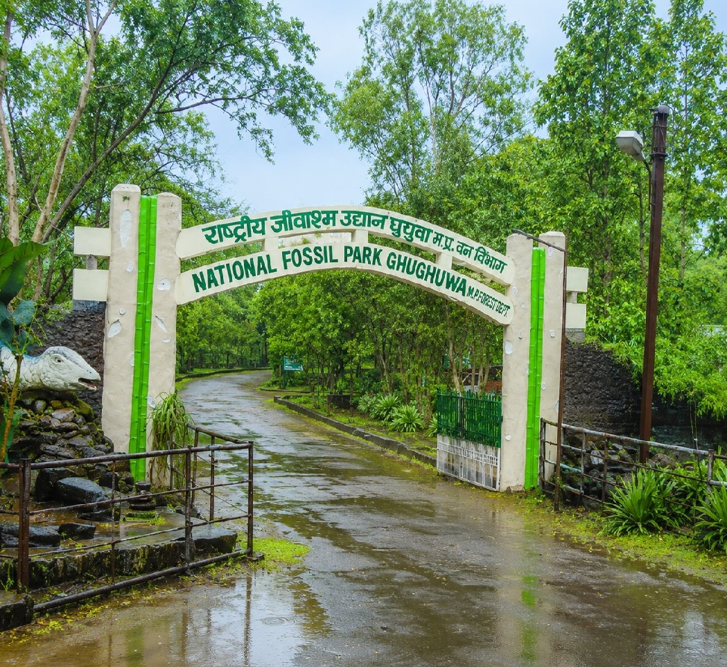 National Ghughua Fossil Park Madhya Pradesh
