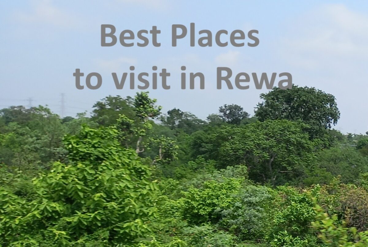 Top Places to Visit in Rewa