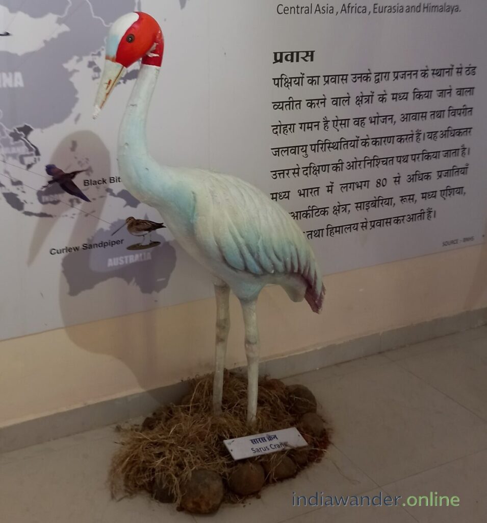 van vihar national park bhopal