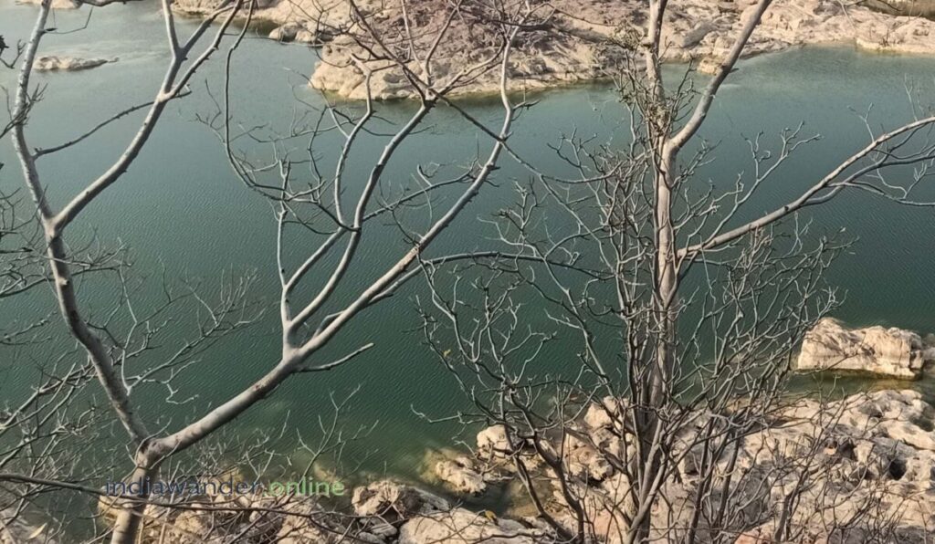 Ken Gharial wildlife Sanctuary