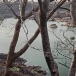 Ken Gharial Sanctuary