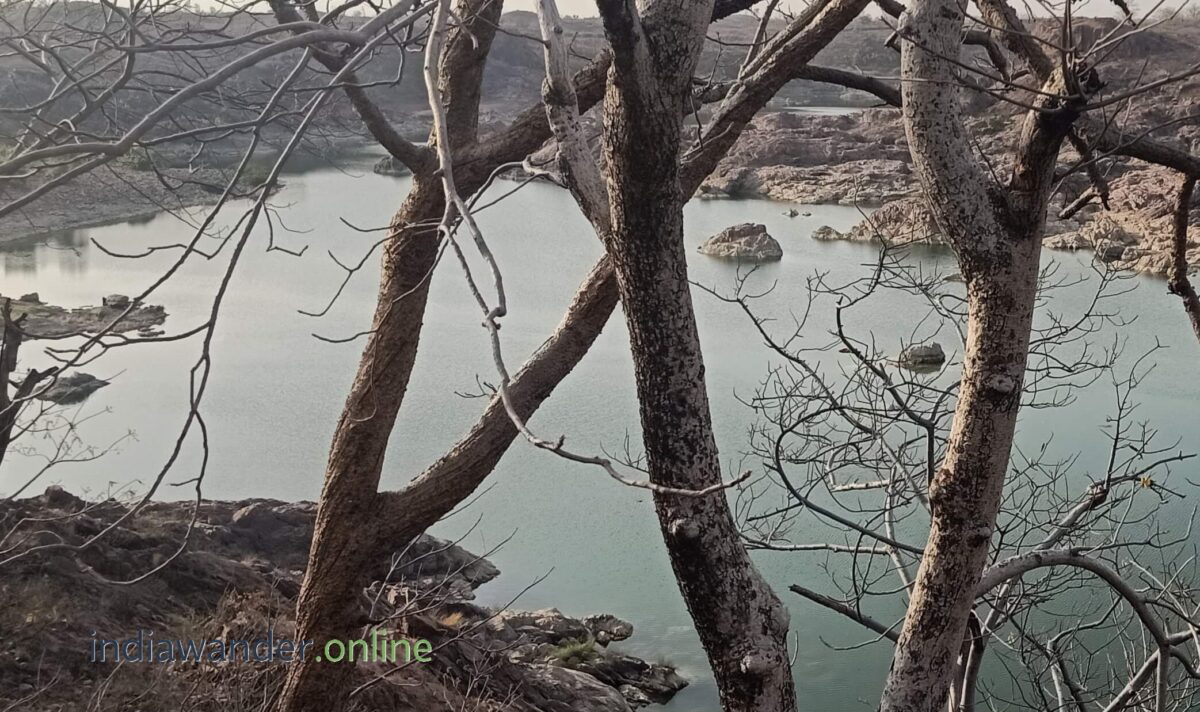 Ken Gharial Sanctuary