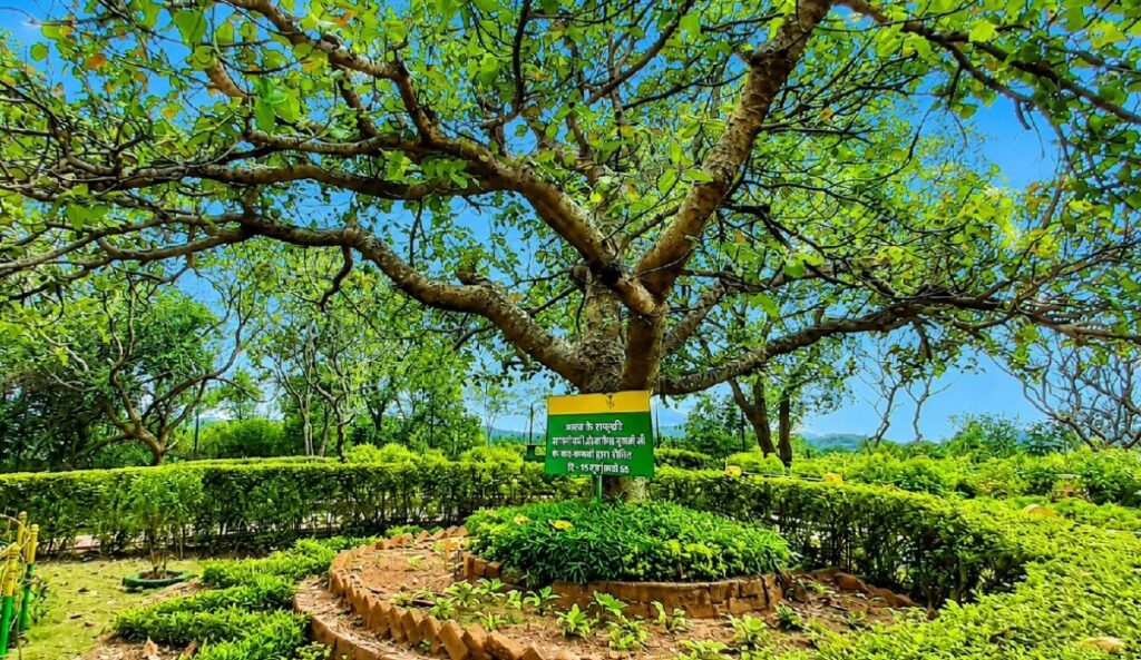 Rajendra Giri Sunset Point