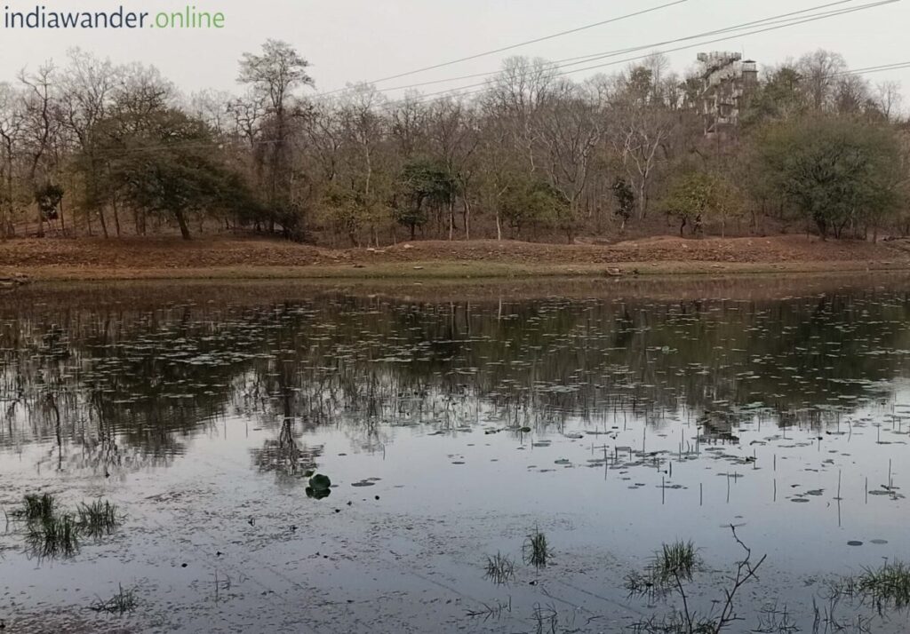 Rani Durgawati Wildlife Sanctuary