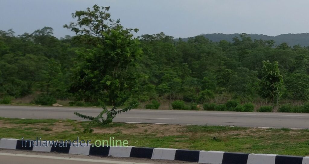 Ratapani Wildlife Sanctuary