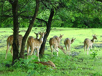 Best Places to Visit in Mahasamund Chhattisgarh