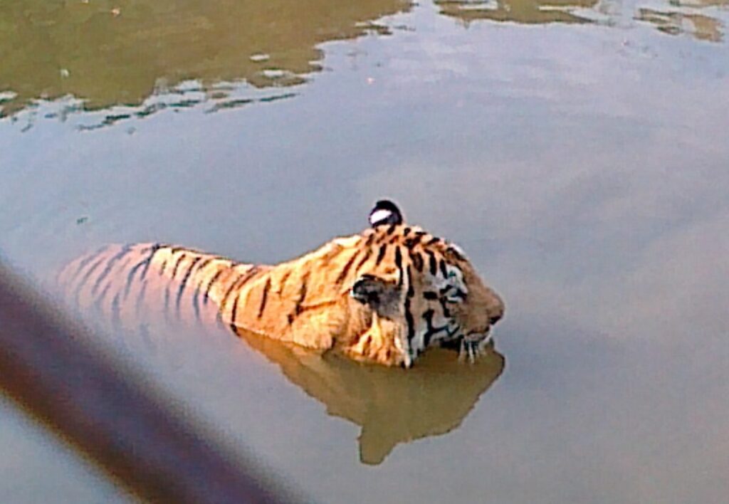 Best Places to Visit in Durg Chhattisgarh