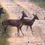Best Places to Visit in Mungeli Chhattisgarh