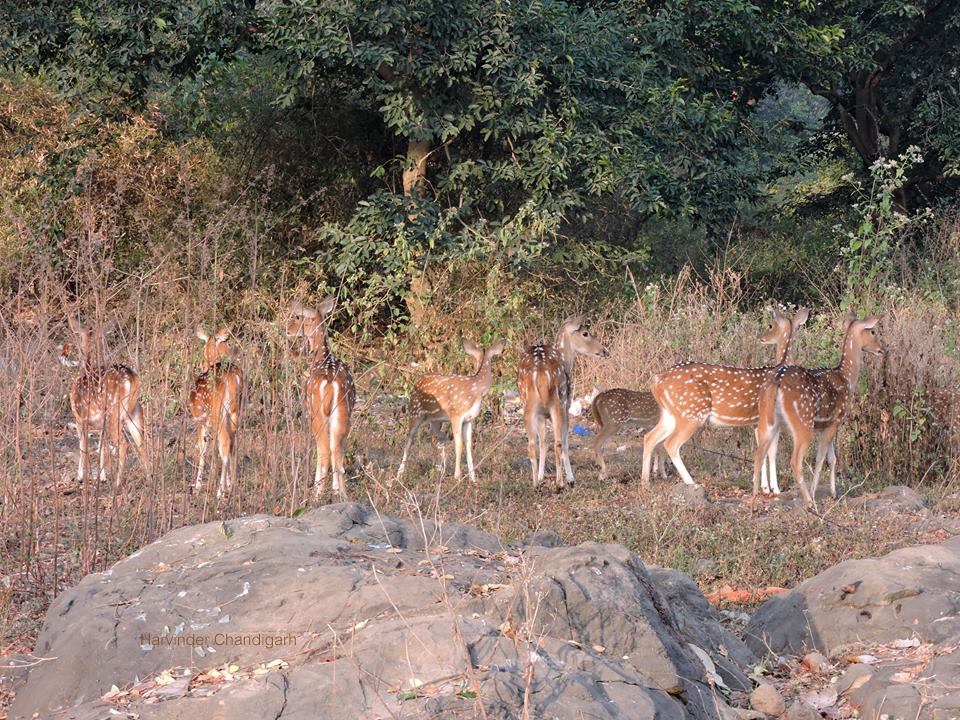 Best Places to Visit in Koriya Chhattisgarh