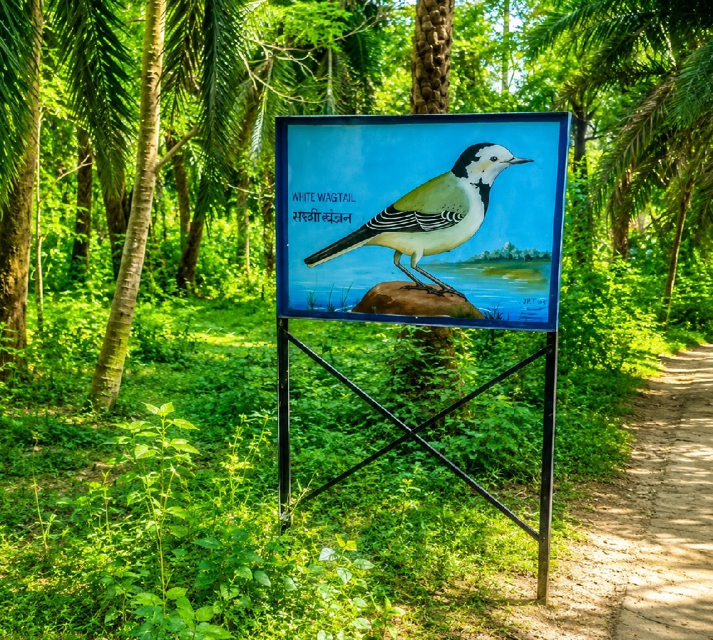 Best Places to Visit in Etah
